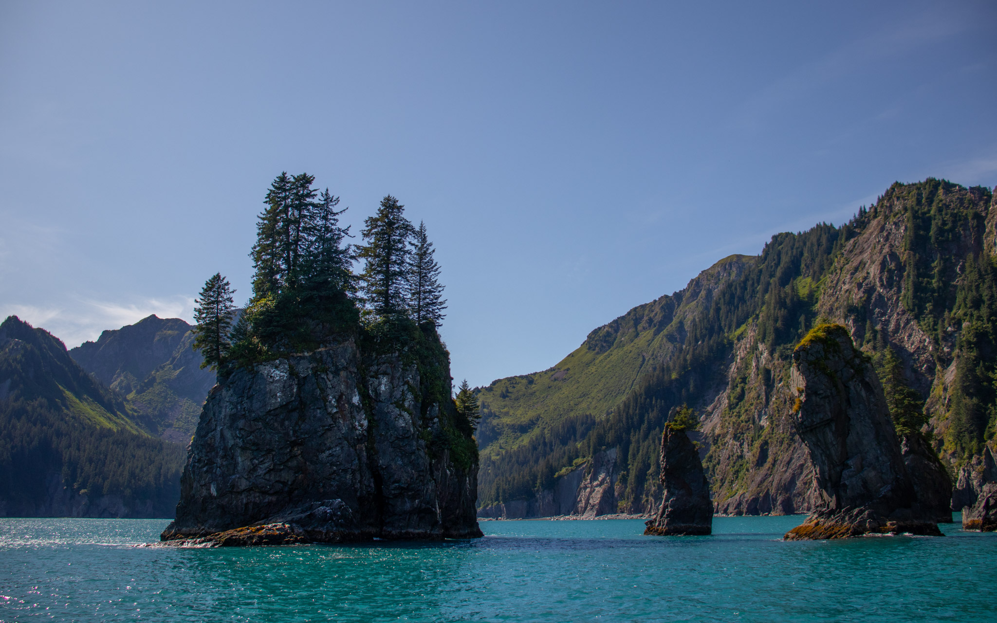 tall pine trees on a cliffy island on a clear day